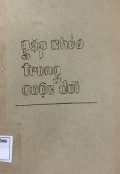 Gặp Chúa trong cuộc đời (t1): Edith Stein, Takashi Nagai, Willibrord Verkade