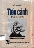 Tiểu cảnh (Punching)