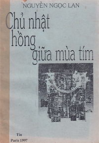 Chủ nhật hồng giữa mùa tím