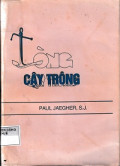 Lòng cậy trông